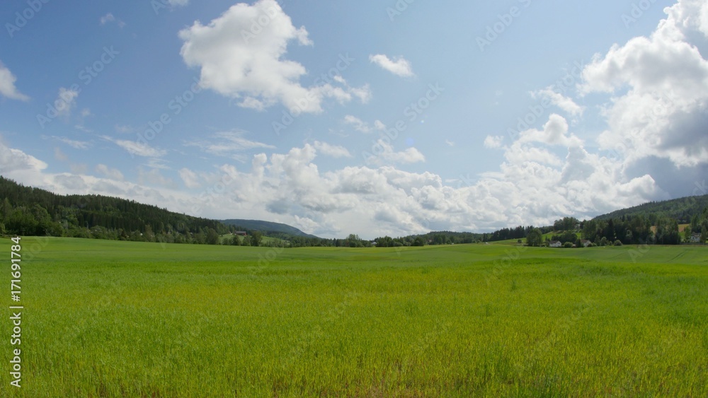 Nature timelapse. Beautiful summer landscape timelapse. Forest, green field, blue sky with clouds and road timelapse