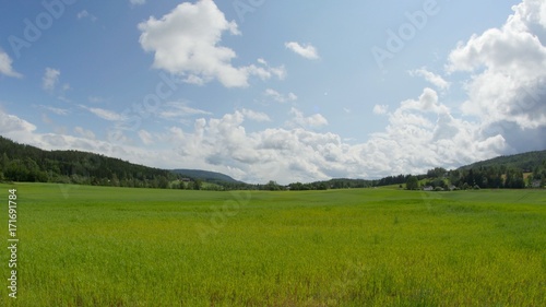 Nature timelapse. Beautiful summer landscape timelapse. Forest, green field, blue sky with clouds and road timelapse © Media Whale Stock