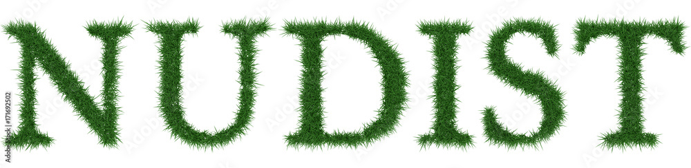 Nudist - 3D rendering fresh Grass letters isolated on whhite background. Nudist - 3D rendering fresh Grass letters isolated on whhite background.
