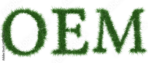 Oem - 3D rendering fresh Grass letters isolated on whhite background.