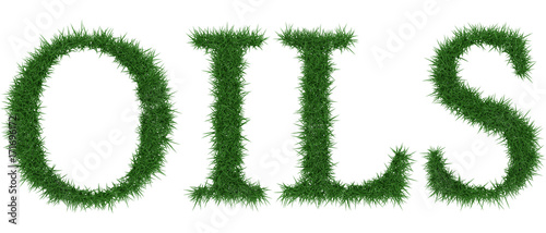 Oils - 3D rendering fresh Grass letters isolated on whhite background.