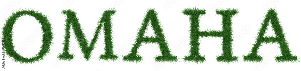 Omaha - 3D rendering fresh Grass letters isolated on whhite background. Omaha - 3D rendering fresh Grass letters isolated on whhite background.