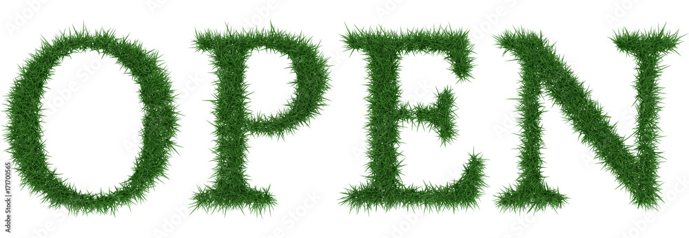 Open - 3D rendering fresh Grass letters isolated on whhite background. Open - 3D rendering fresh Grass letters isolated on whhite background.