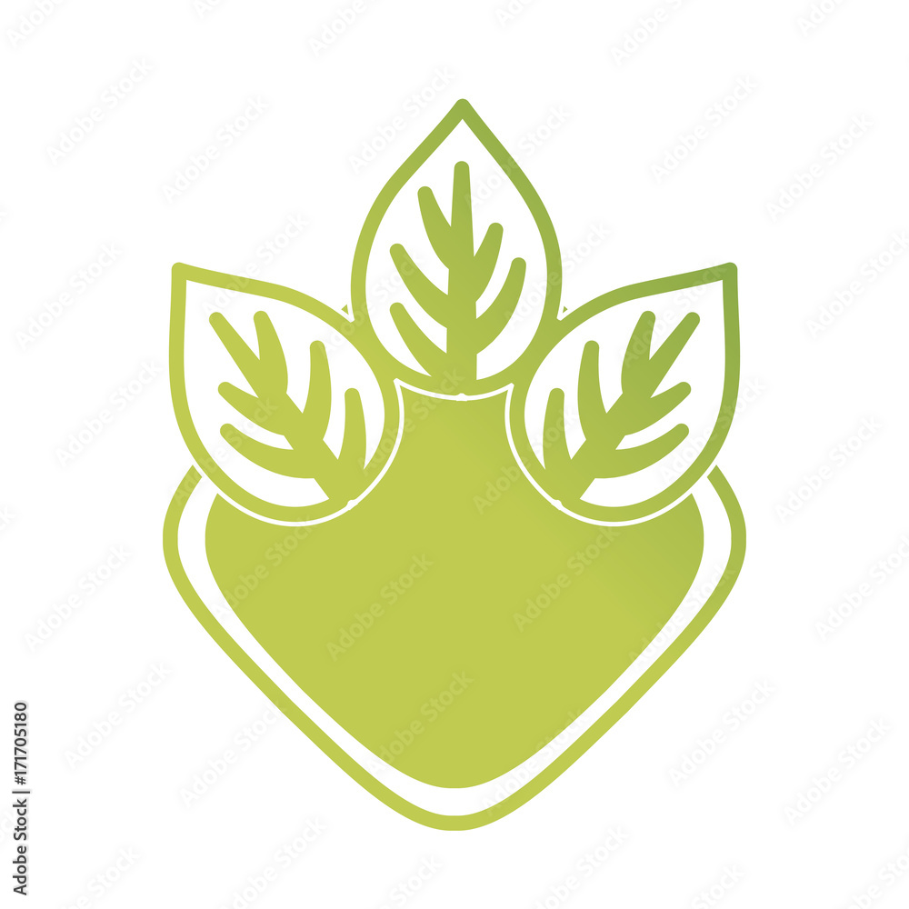 decorative frame with leaves icon over white background colorful design vector illustration decorative frame with leaves icon over white background colorful design vector illustration