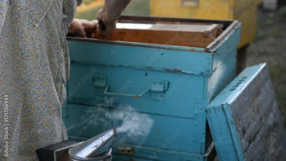 The beekeeper opens the beehive and inspects the bees at sunset in the summer. The beekeeper opens the beehive and inspects the bees at sunset in the summer.