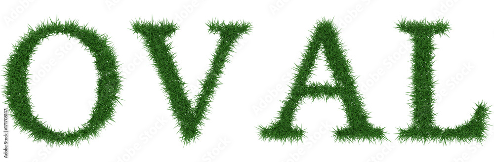Oval - 3D rendering fresh Grass letters isolated on whhite background. Oval - 3D rendering fresh Grass letters isolated on whhite background.