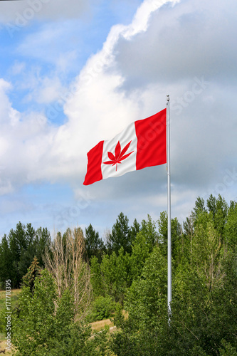 Red and white Canadian flag with a pot leaf waving in the wind on a flagpole