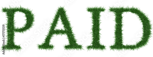 Paid - 3D rendering fresh Grass letters isolated on whhite background.
