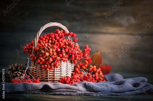 Basket with Rowan and leaves on a wooden table. Autumn still-life.