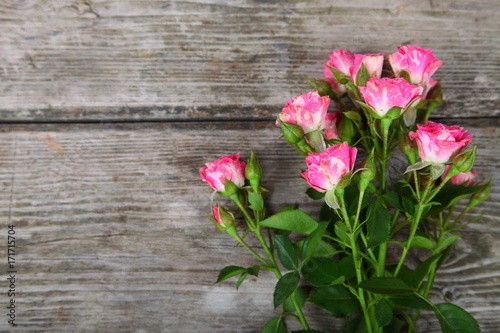 Pink roses on a wooden background.