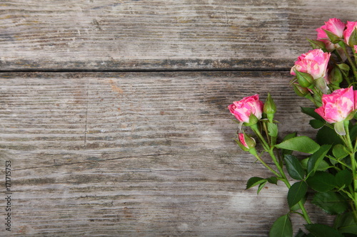 Pink roses on a wooden background.