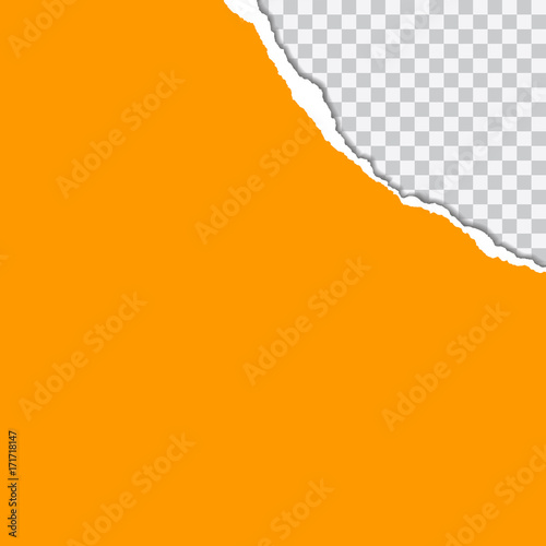 vector realistic illustration of orange torn paper with shadow on transparent background