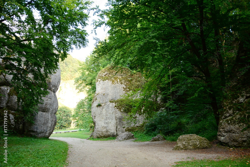Naklejka premium Brama Krakowska, Ojcowski Park Narodowy w Polsce