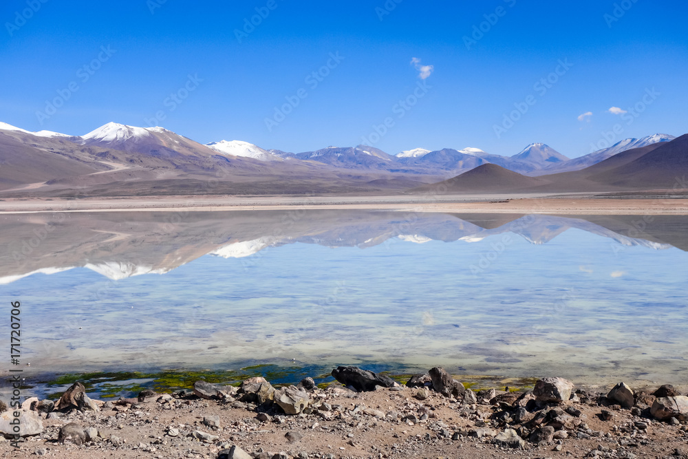 Clear altiplano laguna in sud Lipez reserva, Bolivia Clear altiplano laguna in sud Lipez reserva, Bolivia