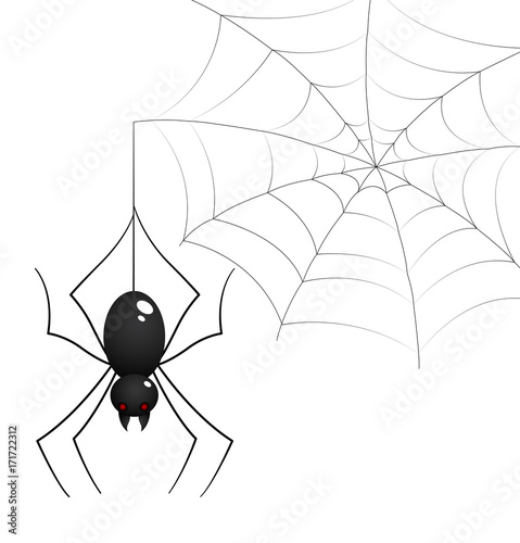 Spider and Web Illustration