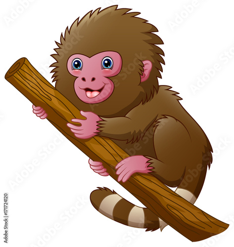Cartoon macaque monkey