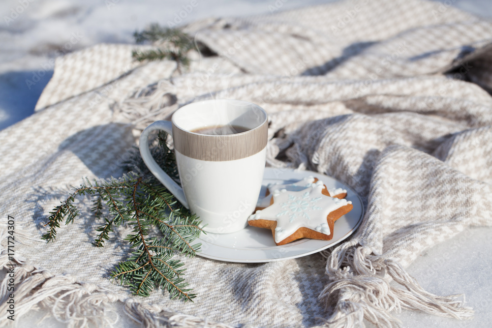 Cozy winter relax: a cup of hot coffee, a blanket and gingerbread overlooking the snowy countryside.