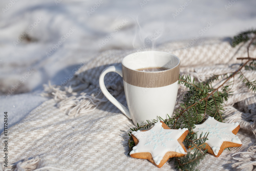 Cozy winter relax: a cup of hot coffee, a blanket and gingerbread overlooking the snowy countryside.