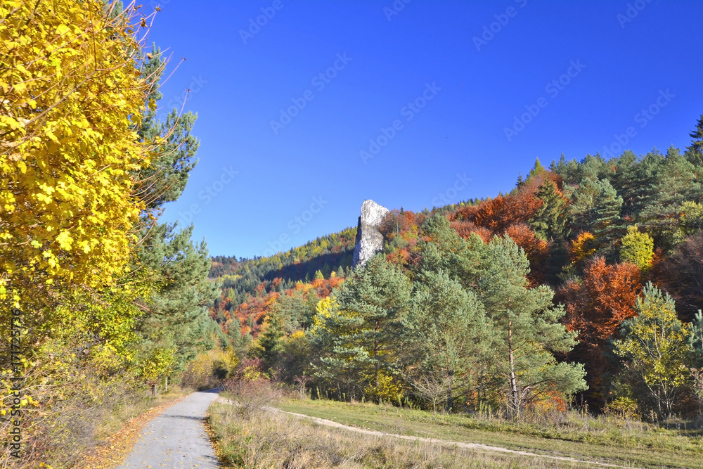 Autumn mountain landscape. Cergov Mountains, Slovakia.