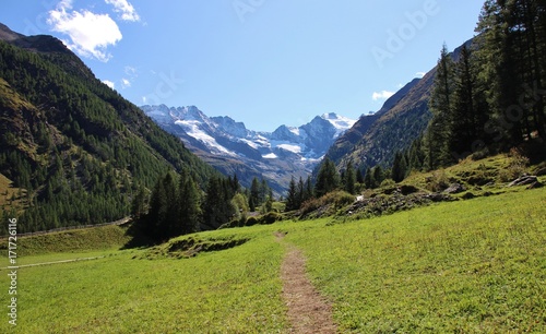 Path in Valnontey valley. Gran Paradiso National Park. Aosta valley, Italy