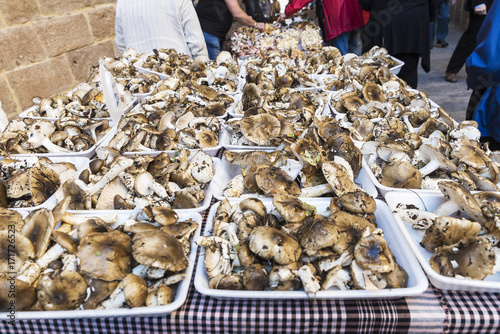 Mushroom flea market of Cardona in Catalonia, Spain