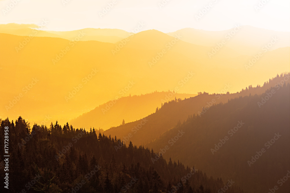 Mountains covered with woods in the early morning light