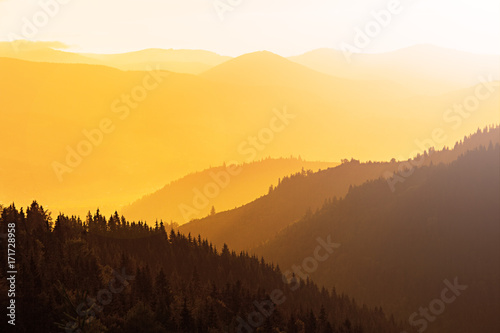 Mountains covered with woods in the early morning light