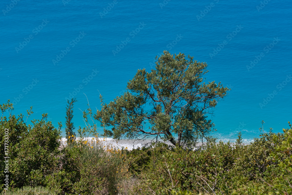 Obraz premium Amazing seascape of Katisma Beach, Lefkada, Ionian Islands, Greece