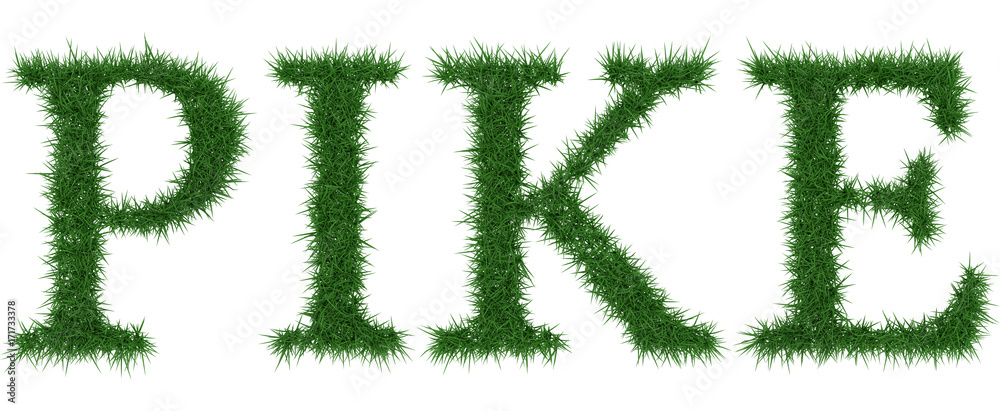 Pike - 3D rendering fresh Grass letters isolated on whhite background. Pike - 3D rendering fresh Grass letters isolated on whhite background.