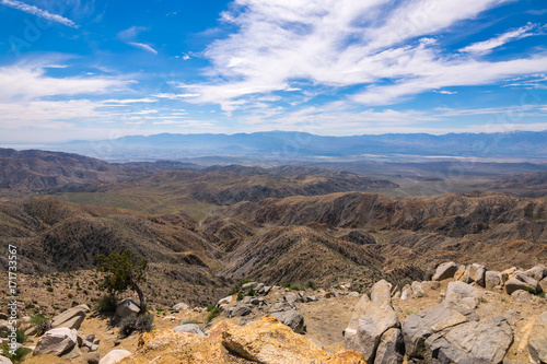 Keys View, Joshua Trees in Joshua Tree National Park, Riverside County and San Bernardino County, California, USA photo