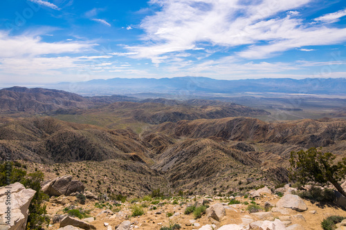 Keys View, Joshua Trees in Joshua Tree National Park, Riverside County and San Bernardino County, California, USA