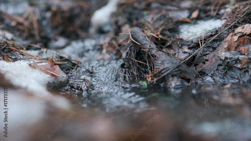 Running water in a stream of melted snow Running water in a stream of melted snow