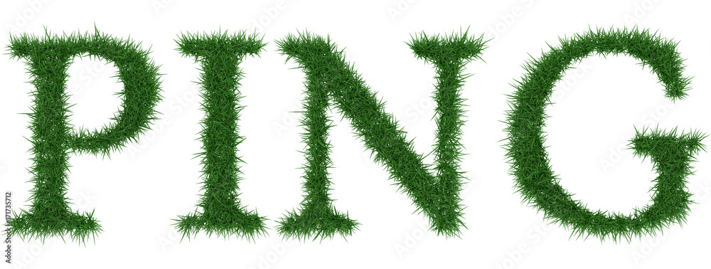 Ping - 3D rendering fresh Grass letters isolated on whhite background. Ping - 3D rendering fresh Grass letters isolated on whhite background.