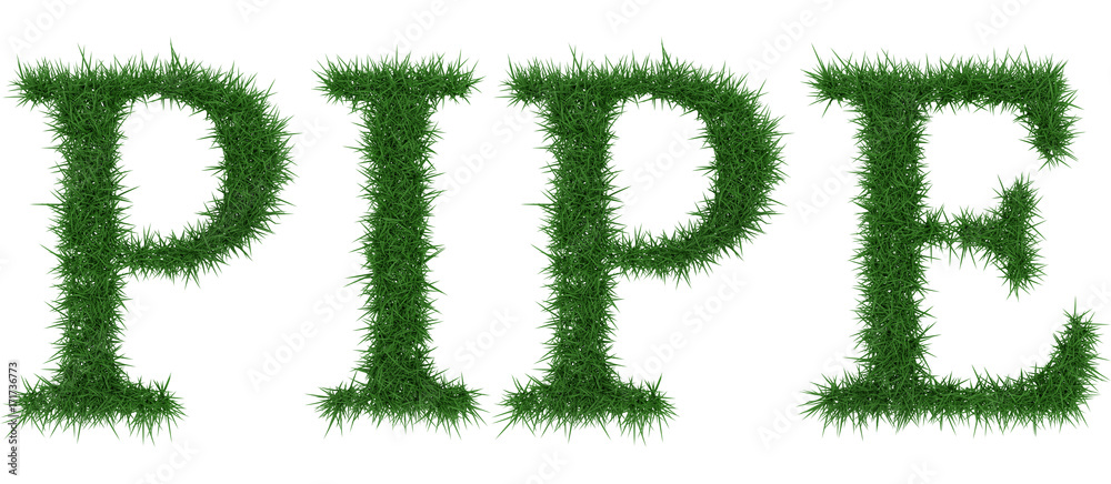 Pipe - 3D rendering fresh Grass letters isolated on whhite background. Pipe - 3D rendering fresh Grass letters isolated on whhite background.