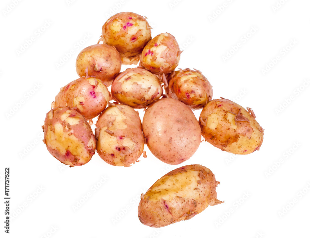 Fresh potato isolated on white background. Top view Fresh potato isolated on white background. Top view