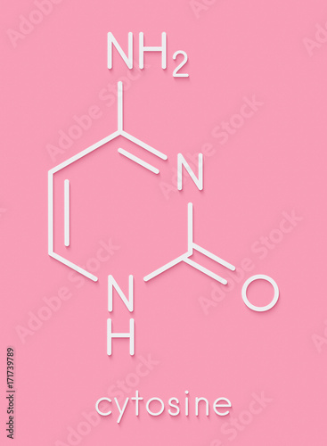 Cytosine pyrimidine nucleobase component. One of the bases found in DNA and RNA. Skeletal formula.