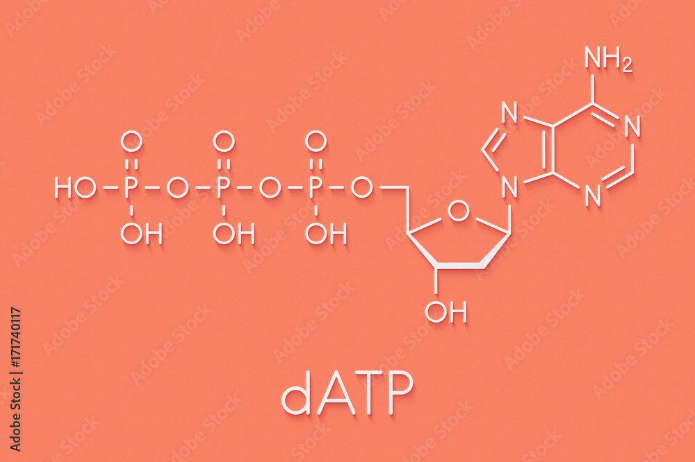 Fototapeta premium Deoxyadenosine triphosphate (dATP) nucleotide molecule. DNA building block. Skeletal formula.