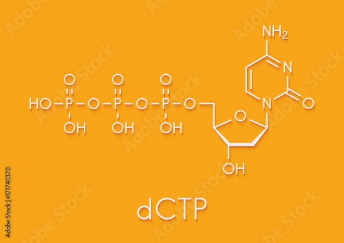 Deoxycytidine triphosphate (dCTP) nucleotide molecule. DNA building block. Skeletal formula. photo