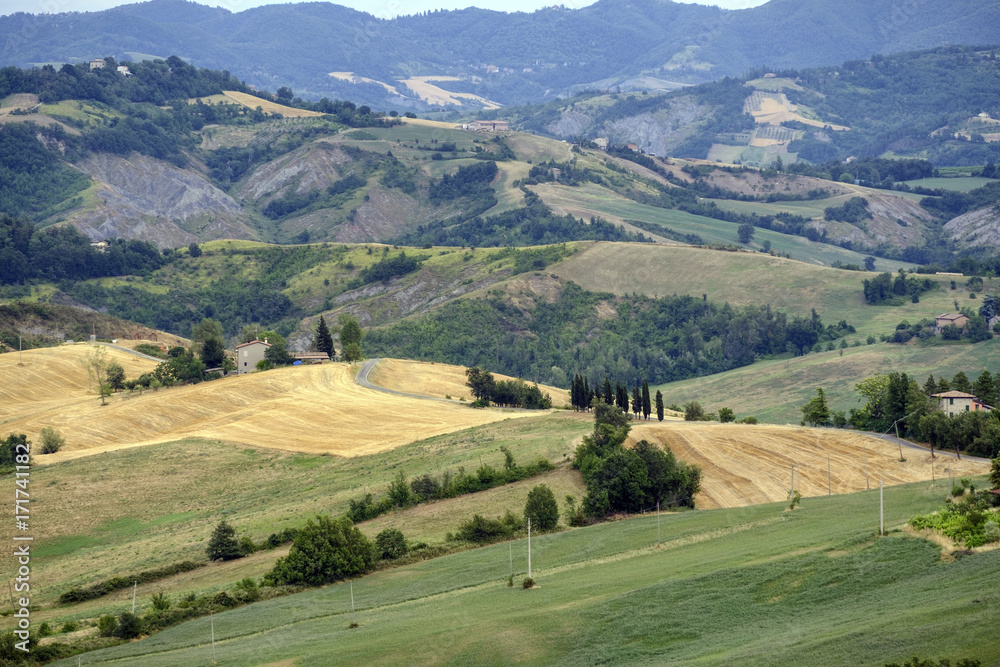 Summer landscape between Guiglia and Bologna