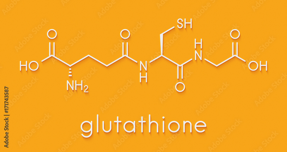 Glutathione (reduced glutathione, GSH) endogenous antioxidant molecule