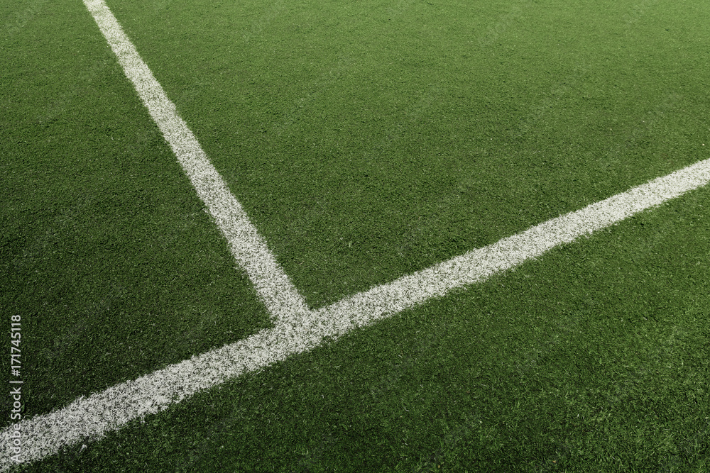 Soccer or Football field with white line
