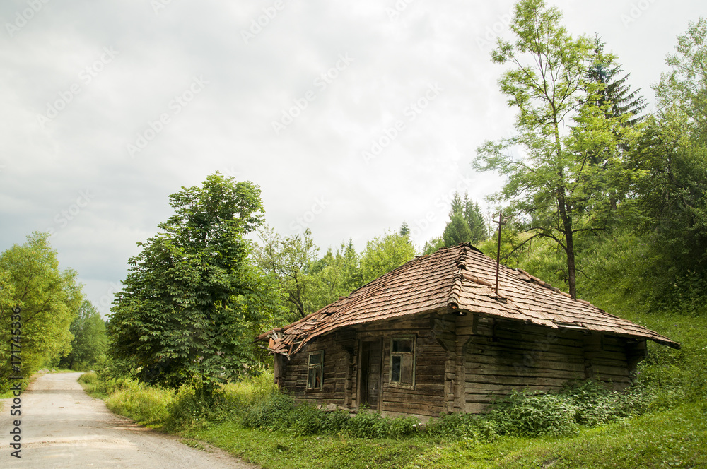 deserted wooden hut with collapsed roof by road and trees deserted wooden hut with collapsed roof by road and trees