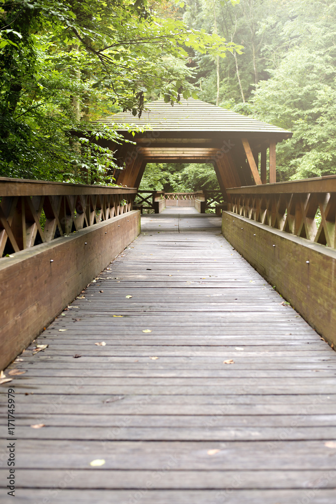 Obraz premium fairytale wooden bridge going through green forest with a house in the middle and hazy sun