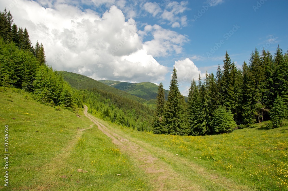 Fototapeta premium Hiking adventure. A scenic shot in the mountains. Breathtaking view of the mountainscape, mountain road, forest and the skies and clouds. 