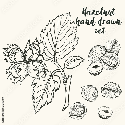 Hand drawn sketch illustration vector