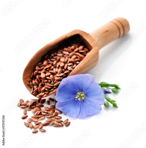 Flax seed and flax flowers. photo