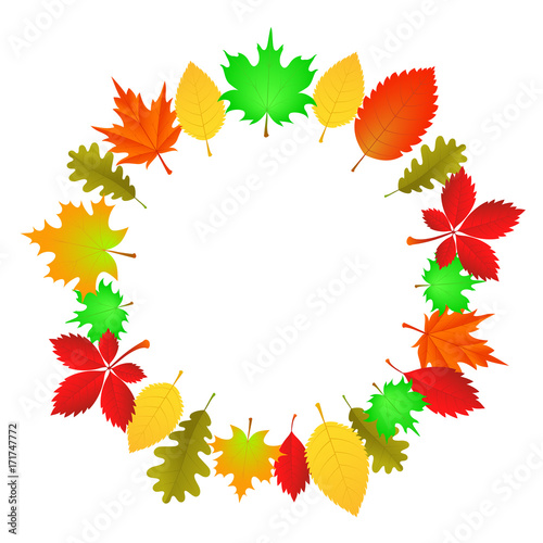 Circle of vector autumn leaves on a white background. Maple and oak orange leaves