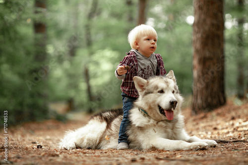 Photos Little boy sits astride malamute dog on walk in forest. Close up.