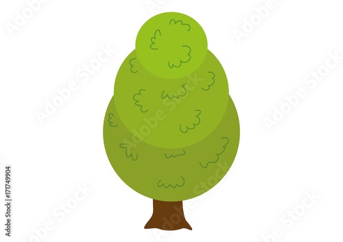 drzewo