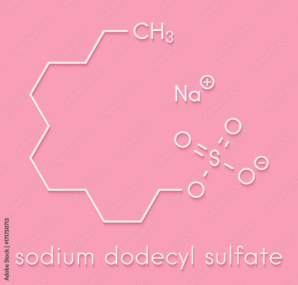 Sodium dodecyl sulfate (SDS, sodium lauryl sulfate) surfactant molecule